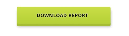 download report CTA button