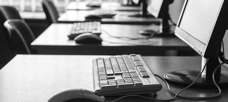 workplace survey DIY IT approach - Feature