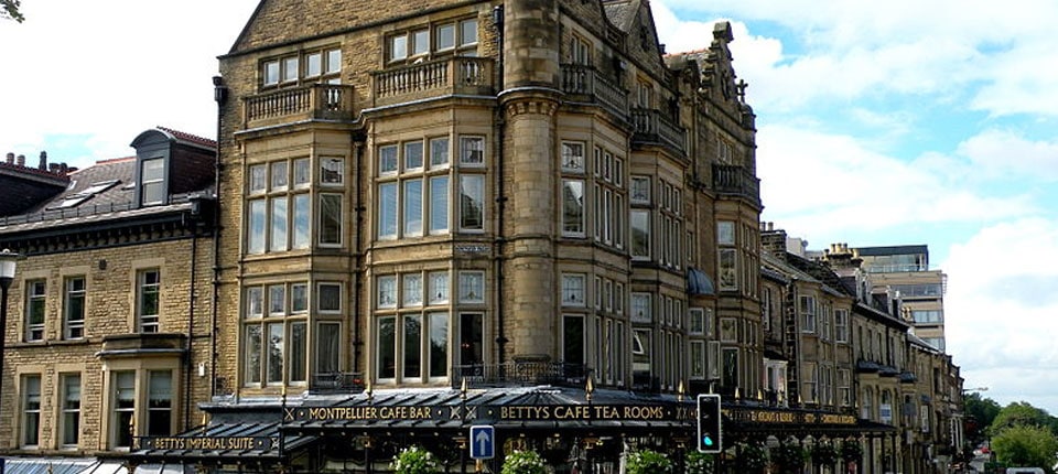 First Offices: Tea Companies - Feature