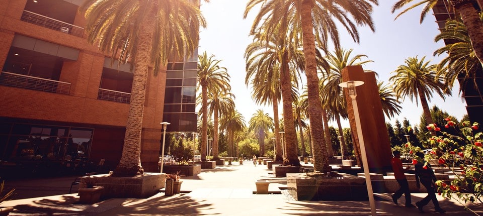 Top global startup cities - Feature